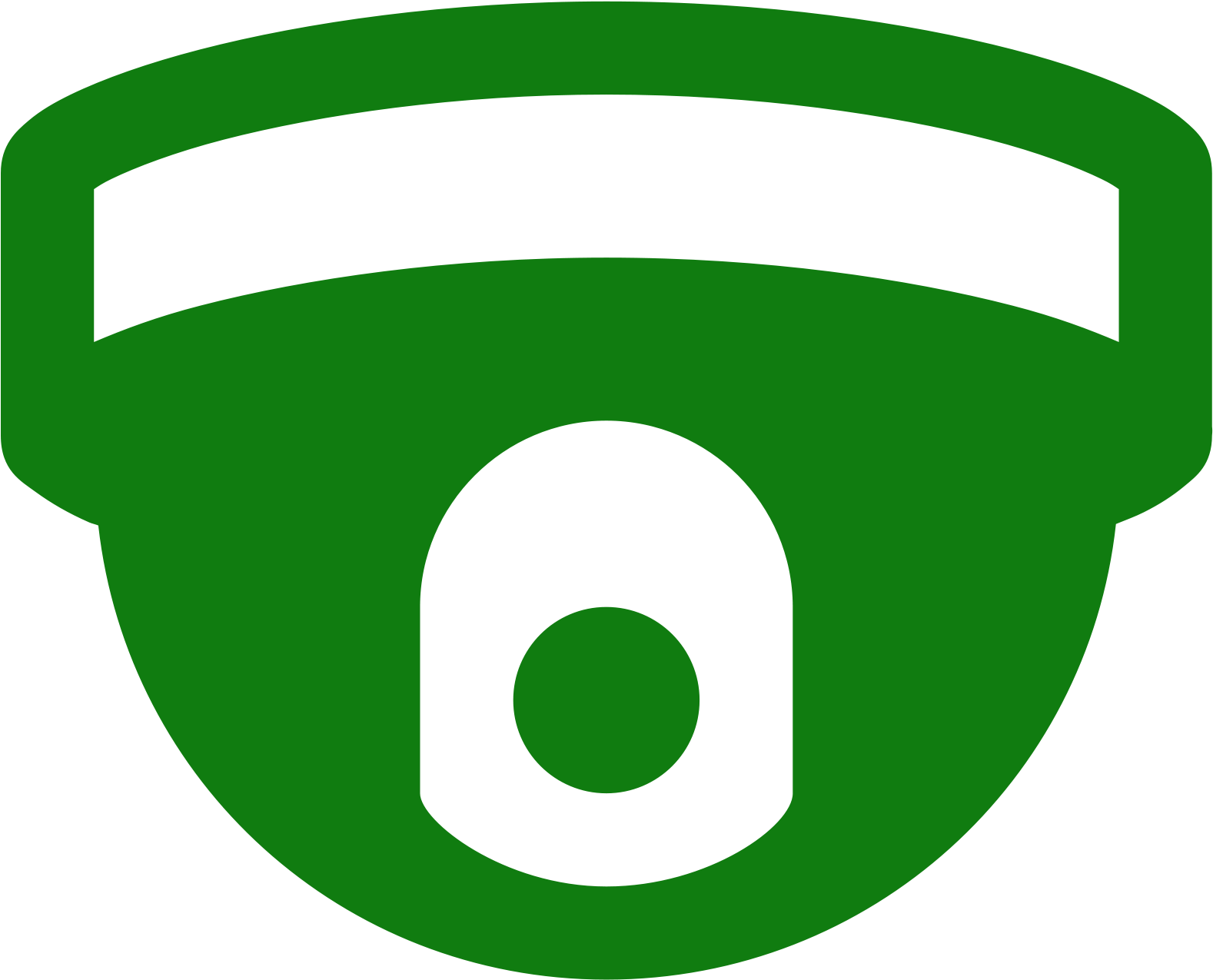 Dome Security Camera Icon Download - Ville De Saint Etienne Clipart (1600x1600), Png Download