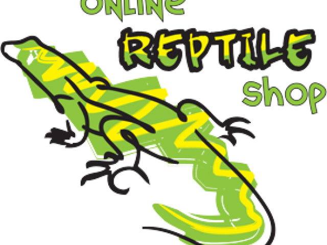 Reptile Clipart Equipment - Png Download (640x480), Png Download