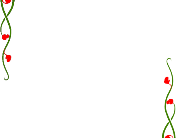 Vine Clipart Holly - Png Download (640x480), Png Download