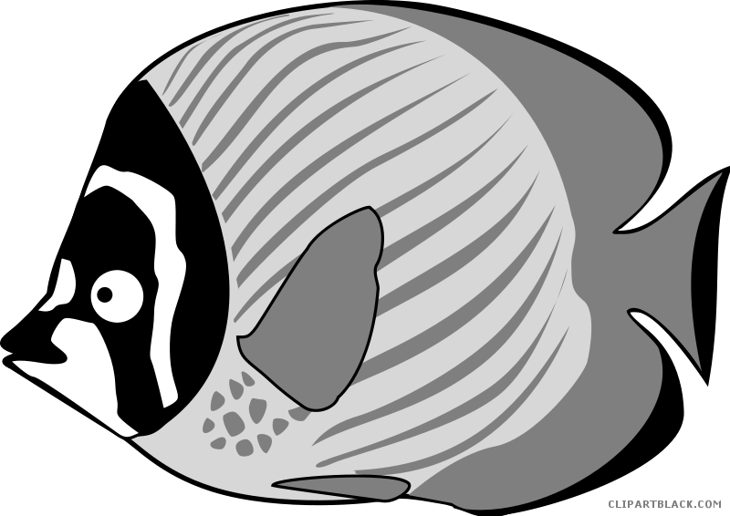 Image Tropical Fish Black And White Clipart - Sea Fish For Clip Art - Png Download (800x566), Png Download