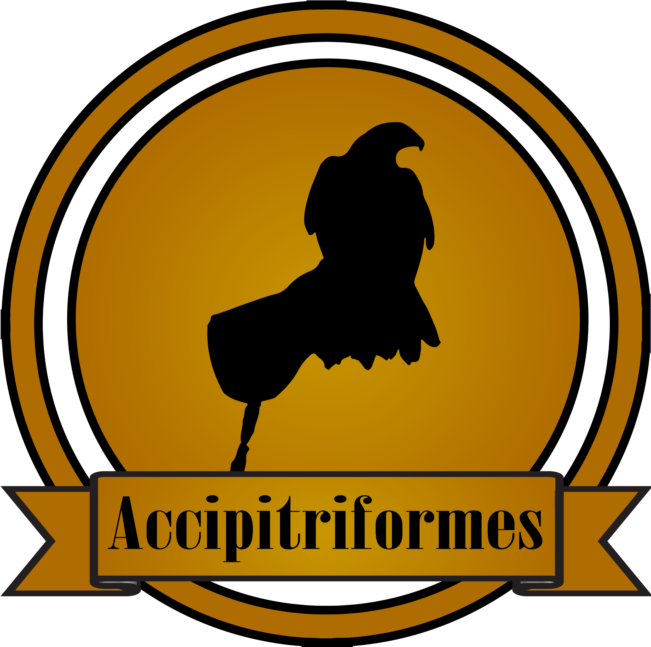 Spice Rub Clipart (2264x2259), Png Download