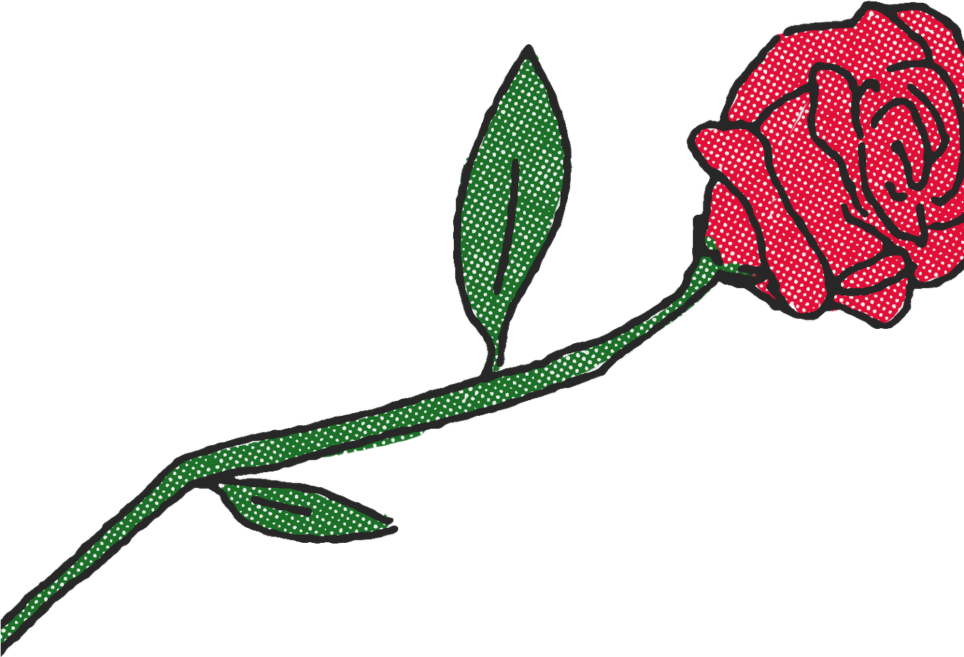 Hybrid Tea Rose Clipart (1350x960), Png Download