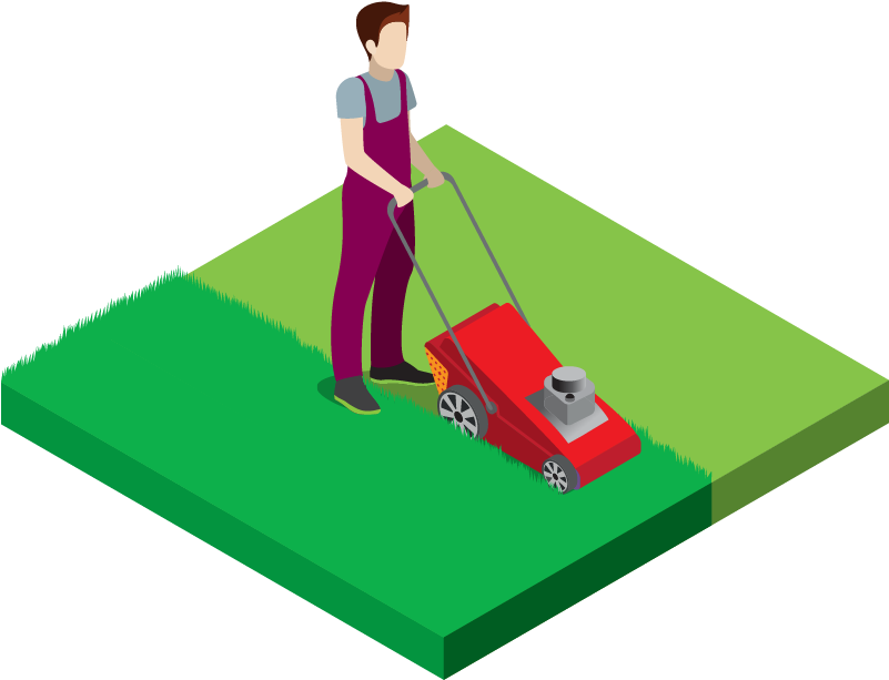 We Cut 550 Hectares Of Grass - Hectare Clipart (800x800), Png Download