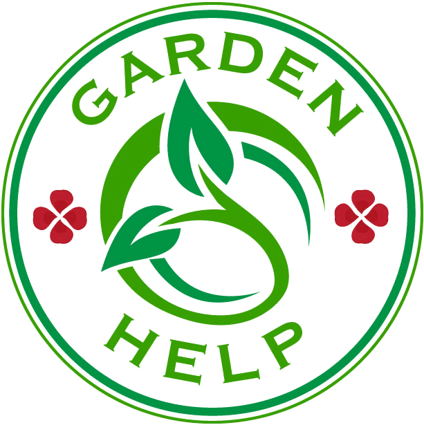 Circle Clipart (621x627), Png Download