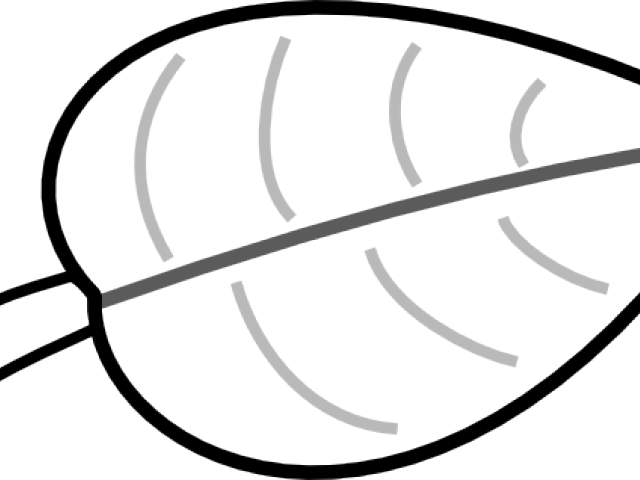 Leaf Png Black And White Clipart (640x480), Png Download