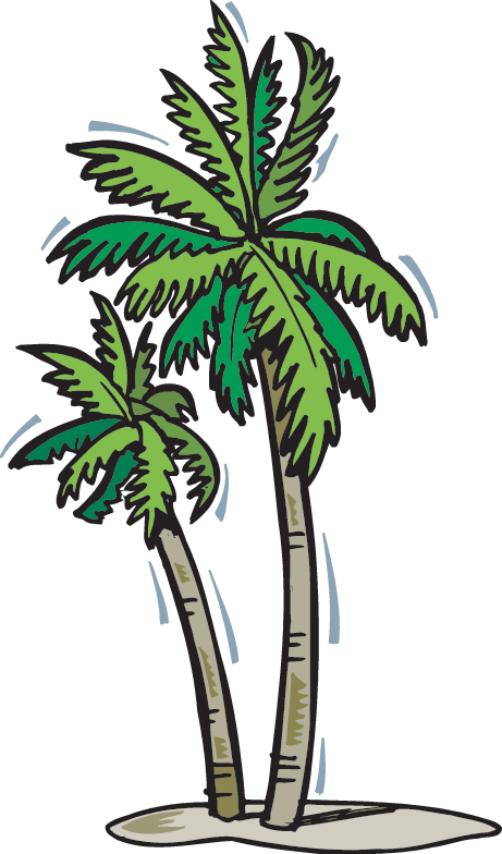 A Walk In The Rain Forest - Transparent Tropical Tree Gif Clipart (461x784), Png Download