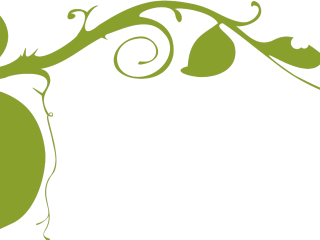 Zen Clipart Ornamental Plant - Vines Border Black And White - Png Download (640x480), Png Download