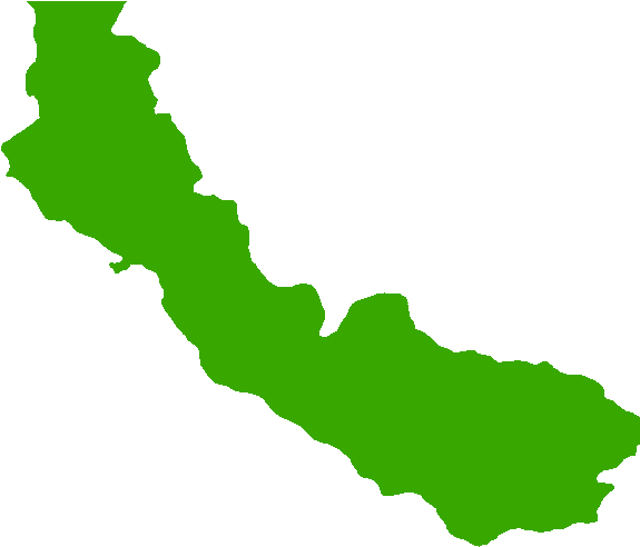 Ducks Clipart Wood Duck - Clip Art - Png Download (642x500), Png Download