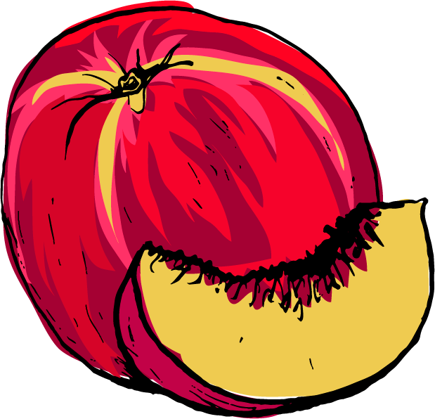 Nectarines - Nectarine Clipart (619x596), Png Download