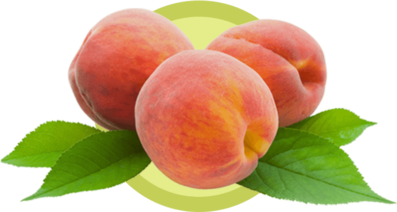 Peach Png Dulcinea® Farms Fruit Of Legendary Perfection™ - Biofinest - Peach Fragrance Oil - 100% Fresh & Clipart (800x441), Png Download
