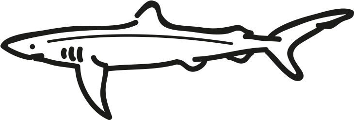 Blue Shark - Product Clipart (796x500), Png Download