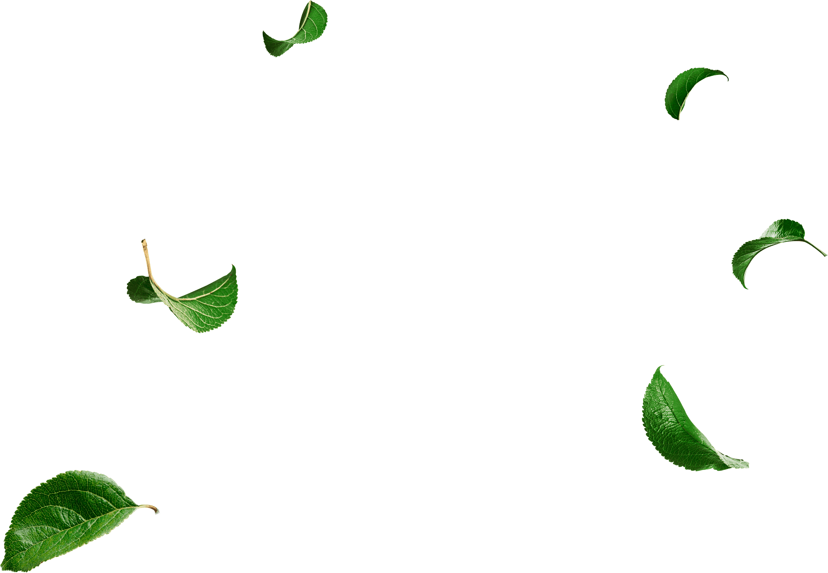 „lithuanian Vodka“ Kiwi & Apple - Illustration Clipart (2872x1989), Png Download