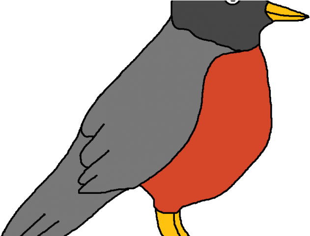 Cardinal Clipart Red Robin - Clip Art - Png Download (640x480), Png Download