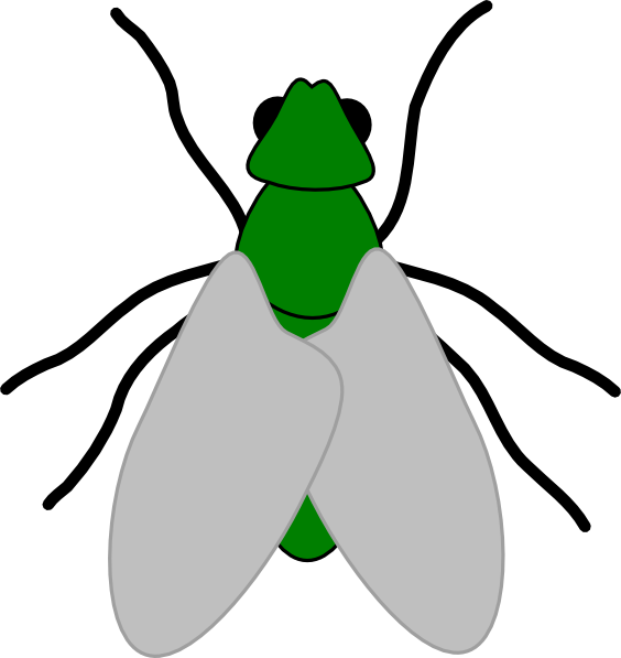 Green Fly Drawing Clipart (564x597), Png Download