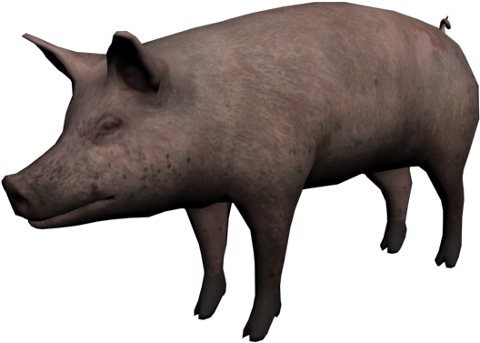 Imagen De Chancho En Png Clipart (640x480), Png Download