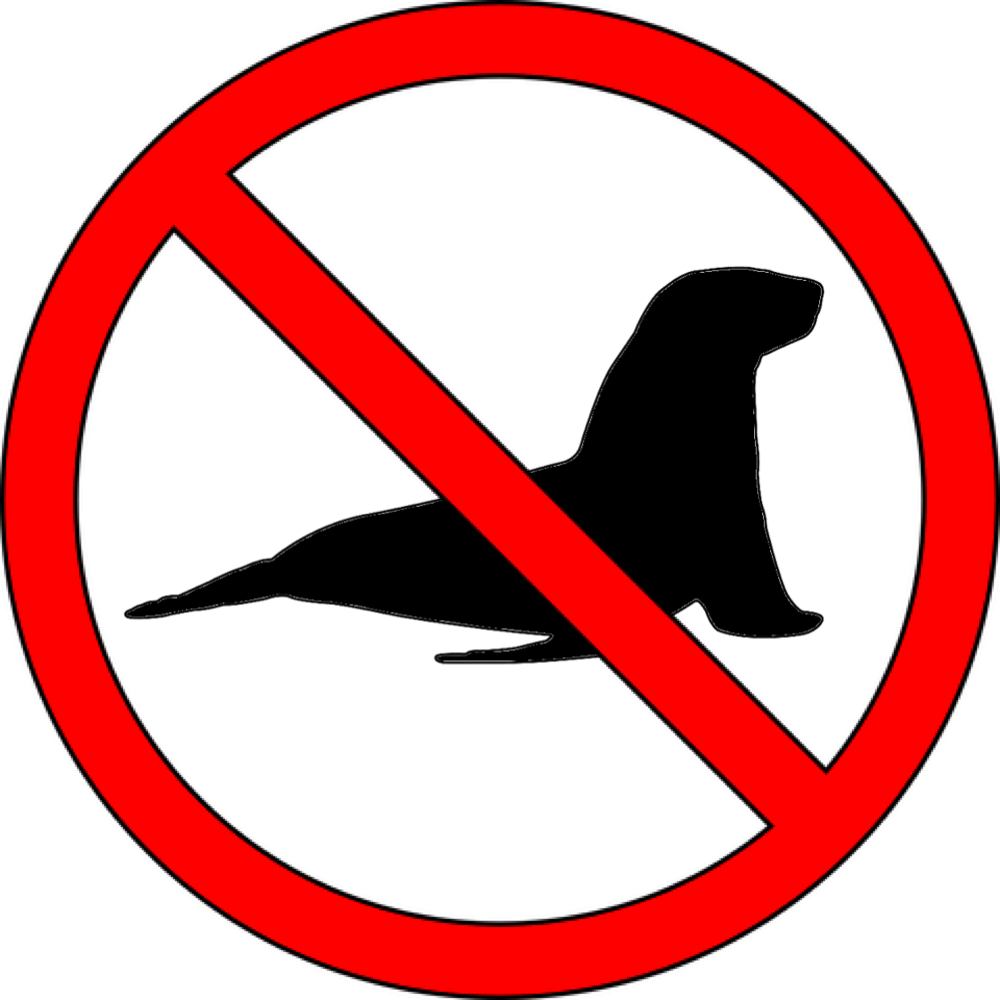 10 Marine Species That Need Protecting Clipart Full Size Clipart 10-marine-species-that-need-protecting-clipart-full-size-clipart