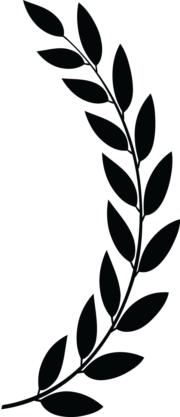 Erin Byrne Current Projects Clipart (599x1388), Png Download