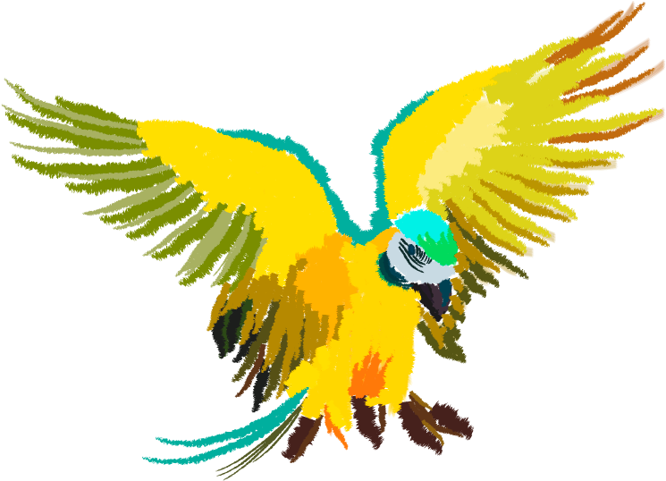 Blue & Gold Macaw Clipart (800x600), Png Download