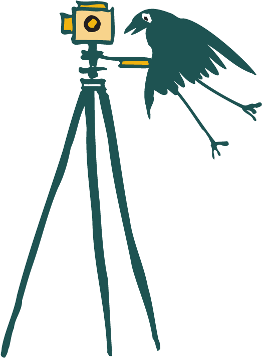 Photographer Clipart (535x725), Png Download