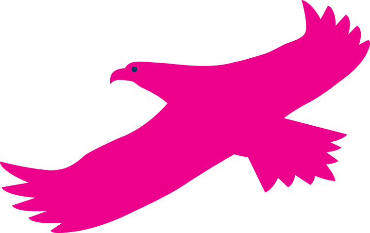 Falcon Clipart (762x480), Png Download