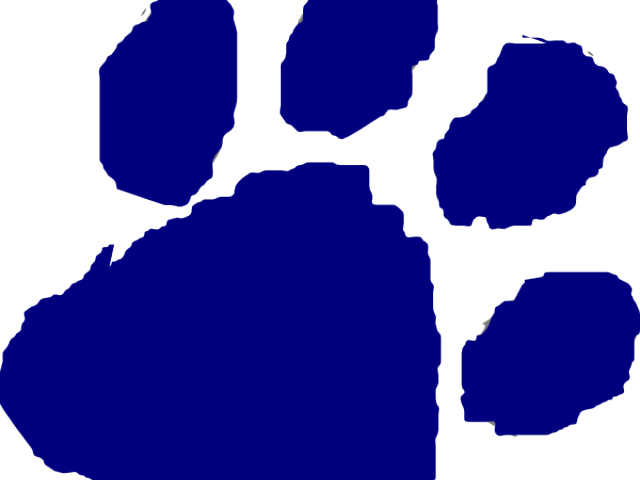 Wildcat Clipart Cougar - Png Download (640x480), Png Download