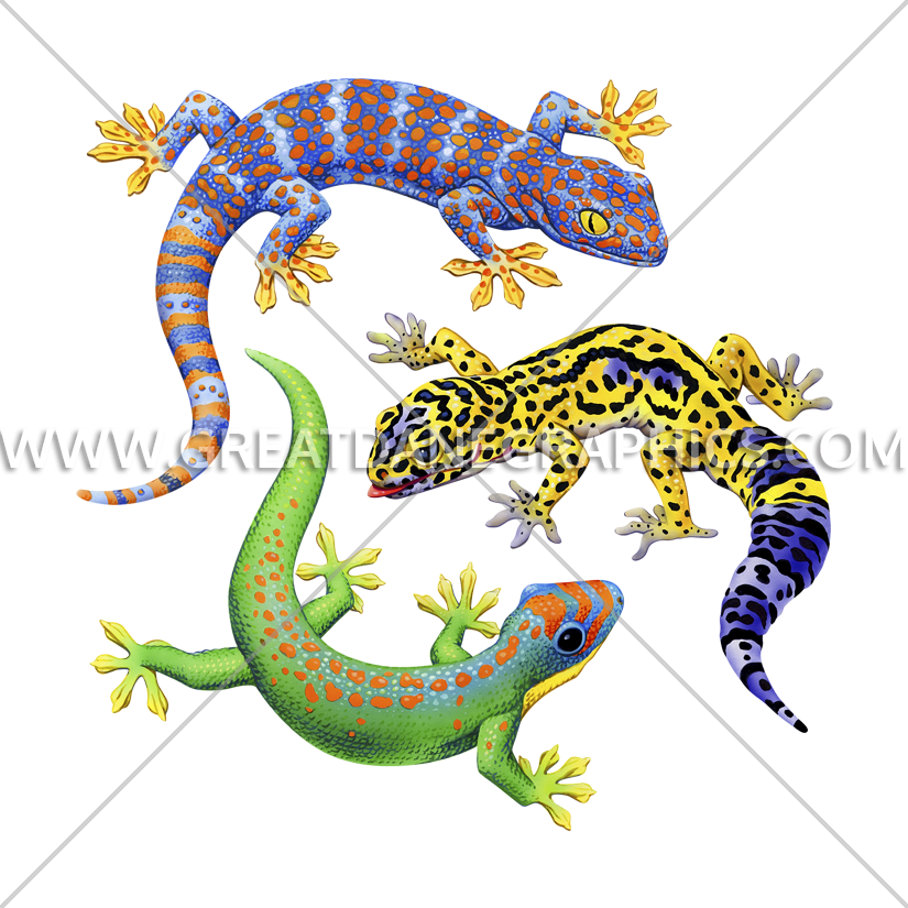 Three Geckos Production Ready Artwork For T - Printed T-shirt Clipart (825x825), Png Download
