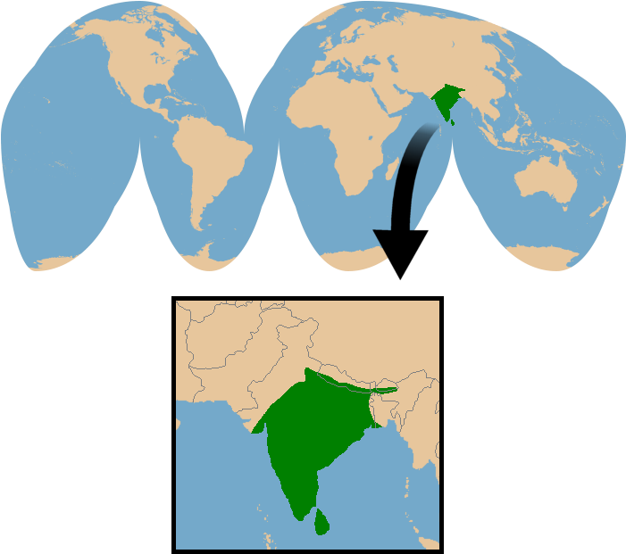 Conservation Status Clipart (700x640), Png Download