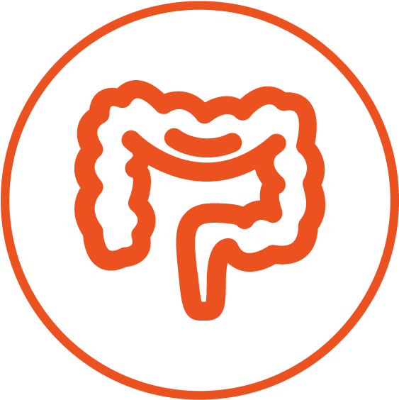 Signs Of Pregnancy - Constipation Clipart (600x600), Png Download