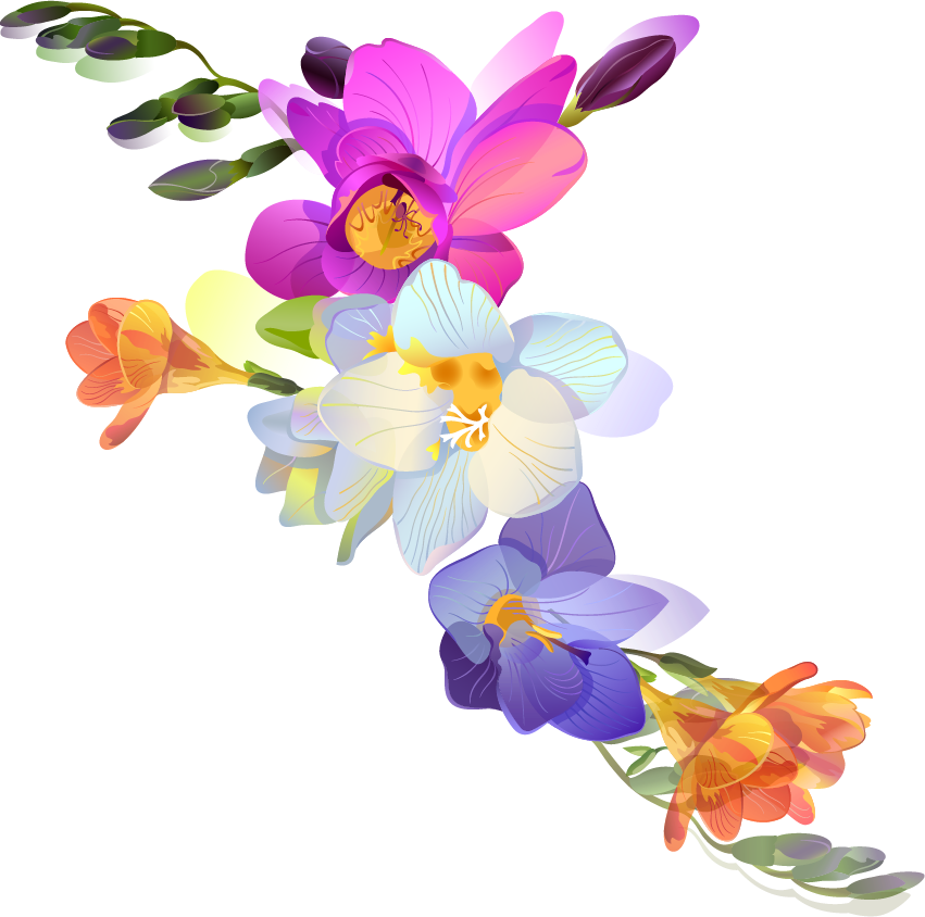 Png Клипарт "spring Floral" - Wedding Anniversary Flowers Png Clipart (851x844), Png Download