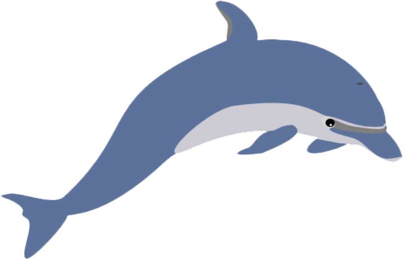 Clipart Dolphin - Png Download (800x514), Png Download
