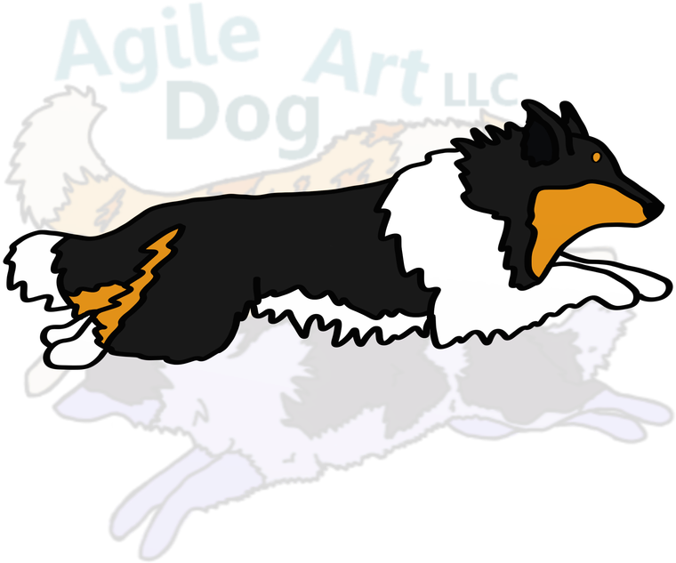 Picture - Rough Collie Clipart (800x800), Png Download