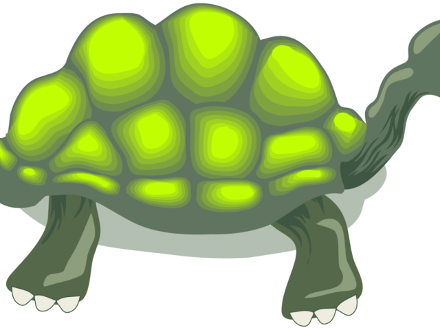 Tortoise Clipart Box Turtle - Turtle - Png Download (640x480), Png Download