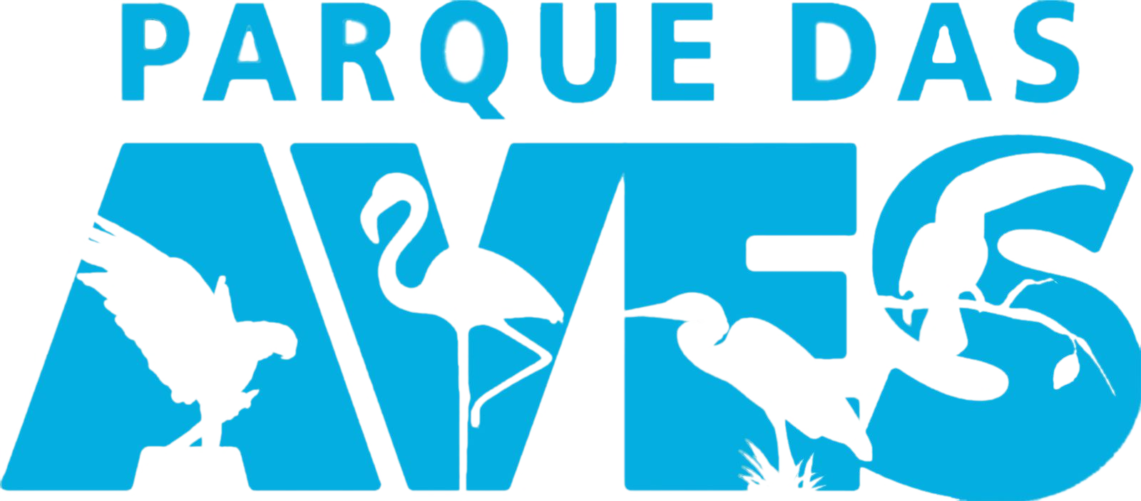 She Is Part Of The Green Group Research Group On Environmental - Parque Das Aves Clipart (1600x703), Png Download