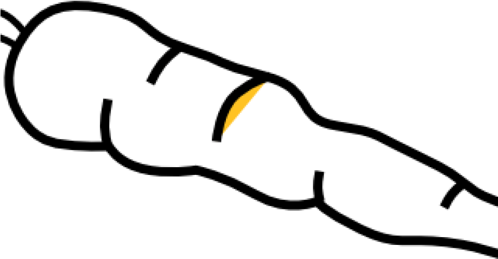 Carrot Clipart Black And White Carrot Black And White - Transparent Background Carrot Clipart - Png Download (1024x1024), Png Download