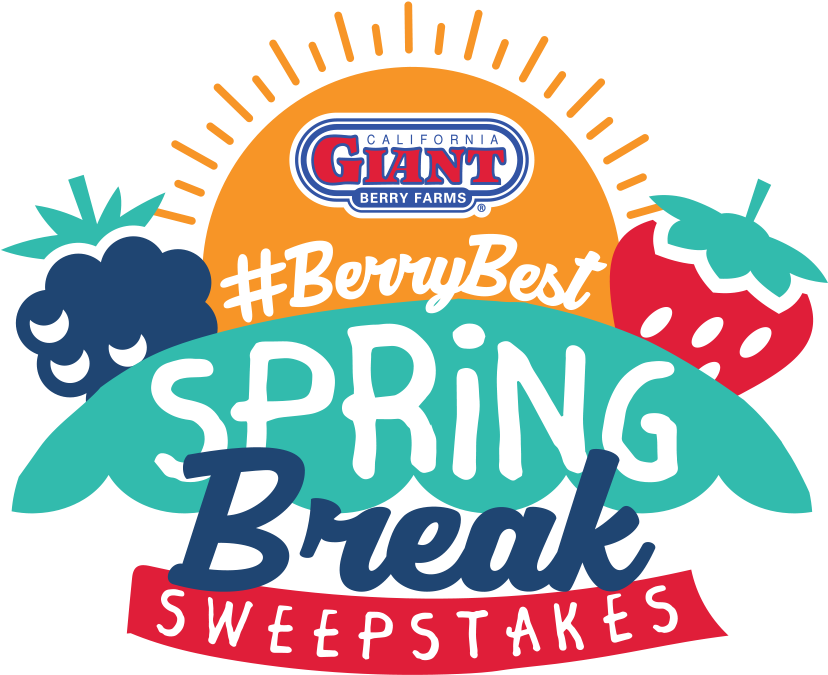 Mixed Berry Tart Clipart (844x686), Png Download