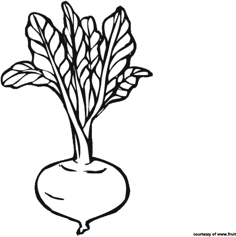 Beet Clipart Black And White - Coloring Book - Png Download (640x480), Png Download