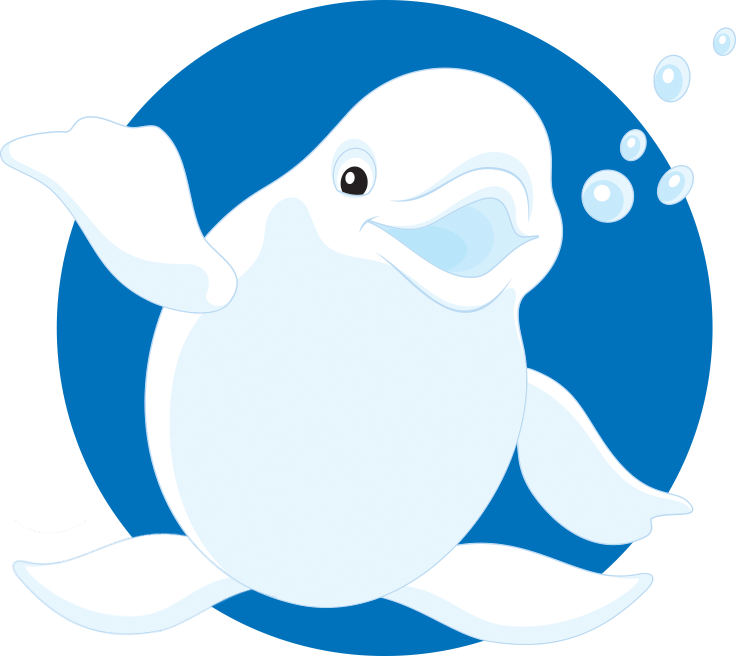 Beluga Clipart Funny - Beluga Vector - Png Download (736x656), Png Download