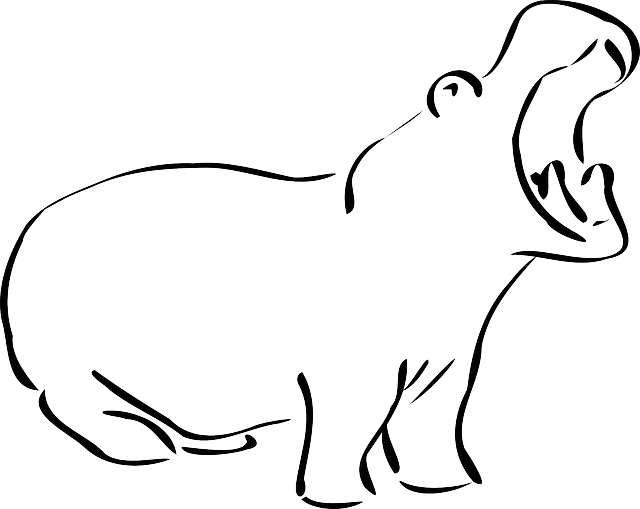 Hippo Clip Art - Png Download (640x509), Png Download