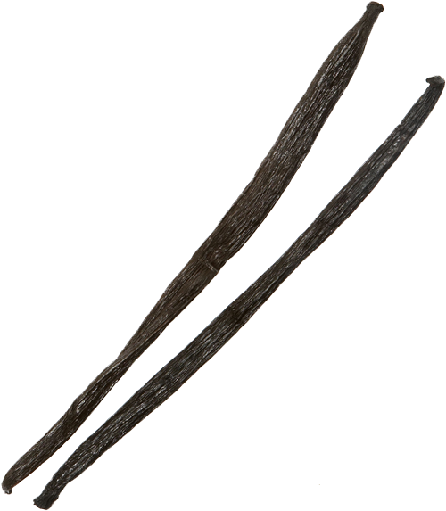 Vanilla Bean Png Transparent Image Clipart (600x600), Png Download