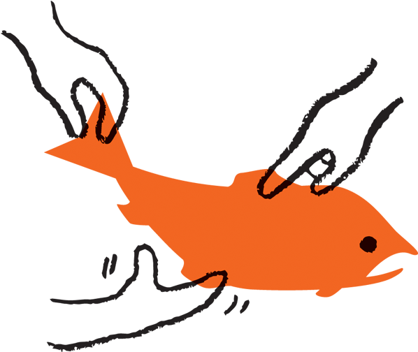 Allison Ball Clipart (900x506), Png Download