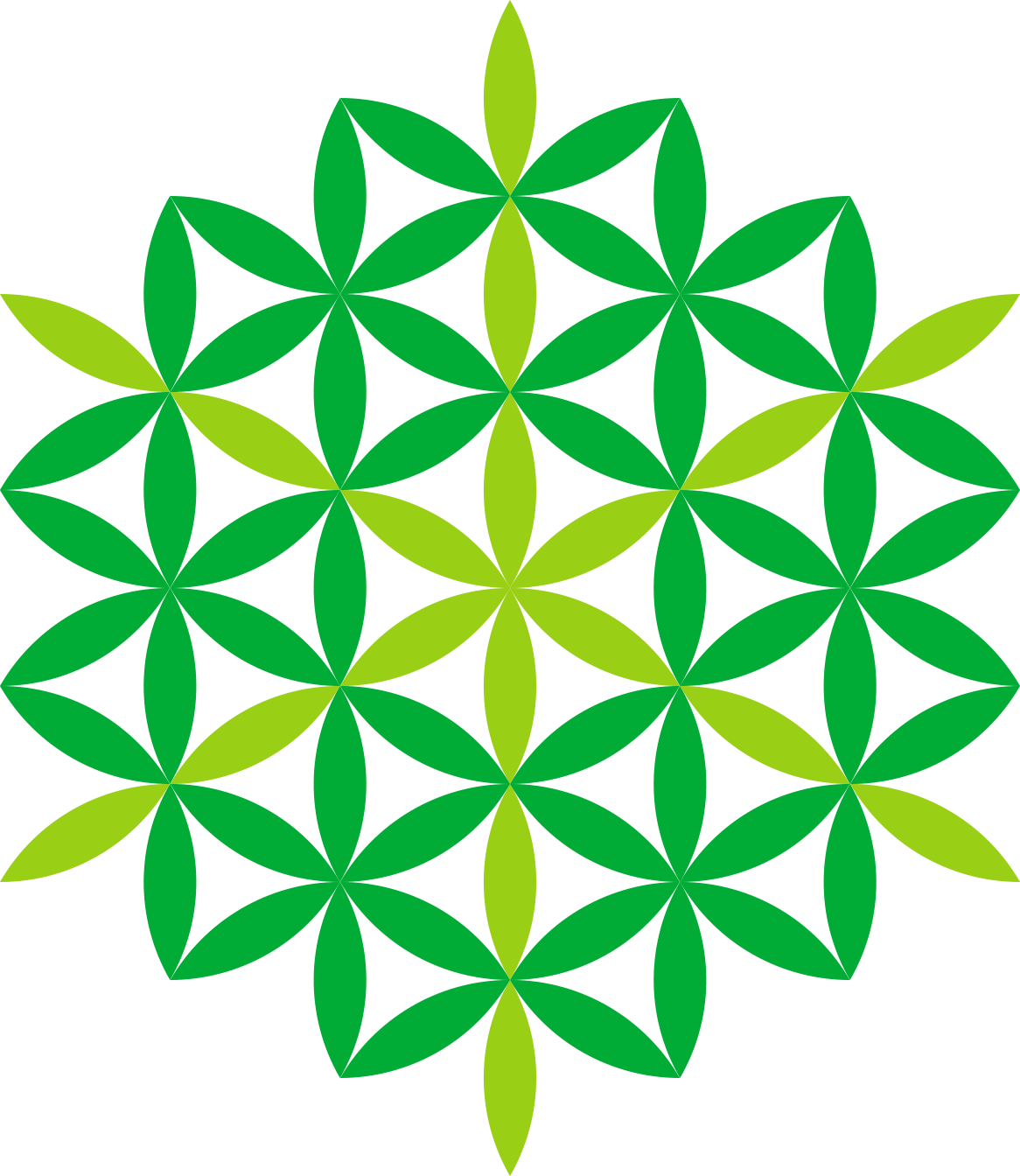 Thracian Center For Cochlear Implantation - Color Flower Of Life Tattoo Clipart (1166x1344), Png Download