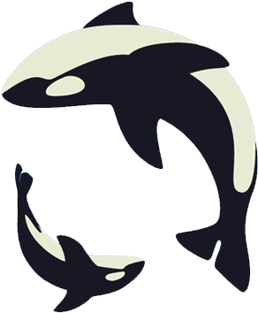 Dolphin Clipart Animation - Oddly Calming - Png Download (800x600), Png Download