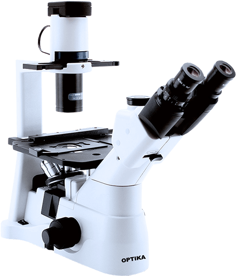 Микроскоп Xds-3lt - Optika Xds 3 Clipart (600x586), Png Download