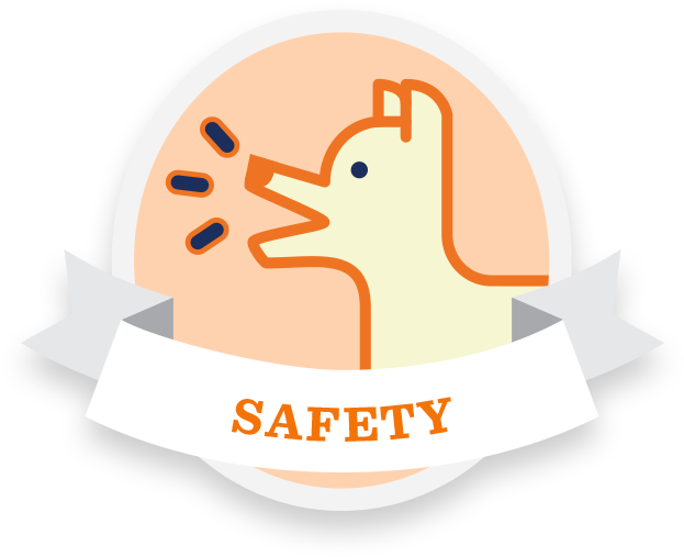 Traveling Tips Photography Tips Safety Tips Comfort - Photography Clipart (625x518), Png Download