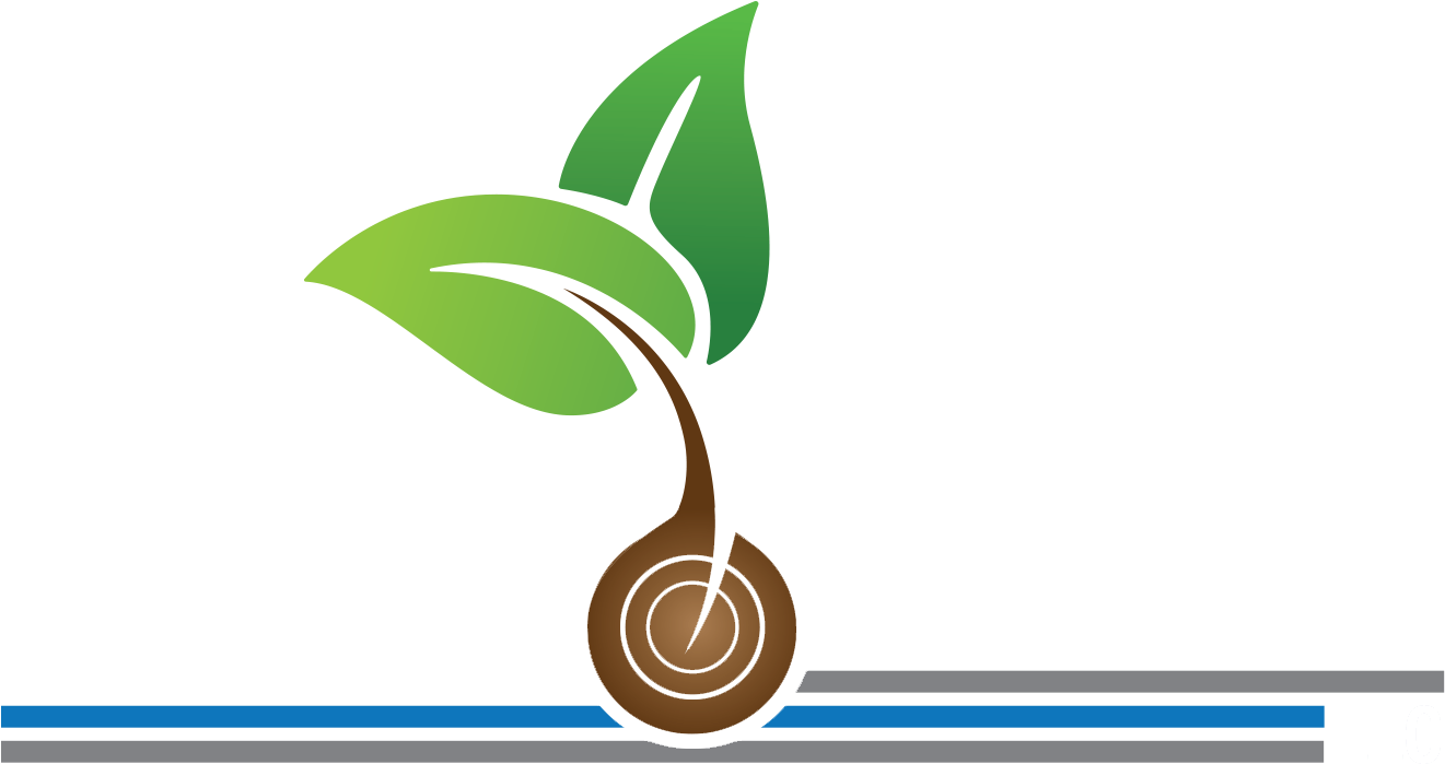 Seed Clipart (1628x900), Png Download