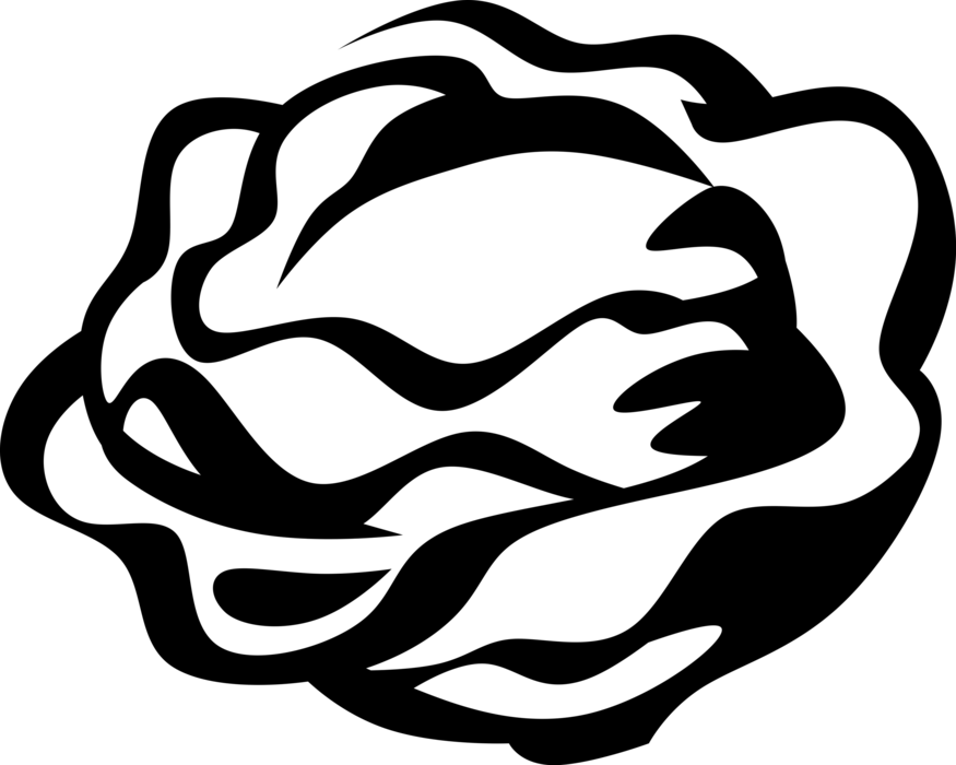 Clip Art Library Green Lettuce Image Illustration Of - Alface Vetor Png Transparent Png (875x700), Png Download