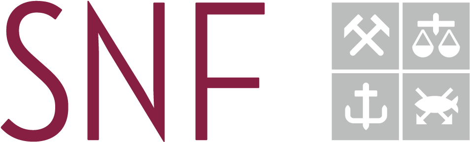 Main Project Partners - Snf Bergen Clipart (1224x559), Png Download