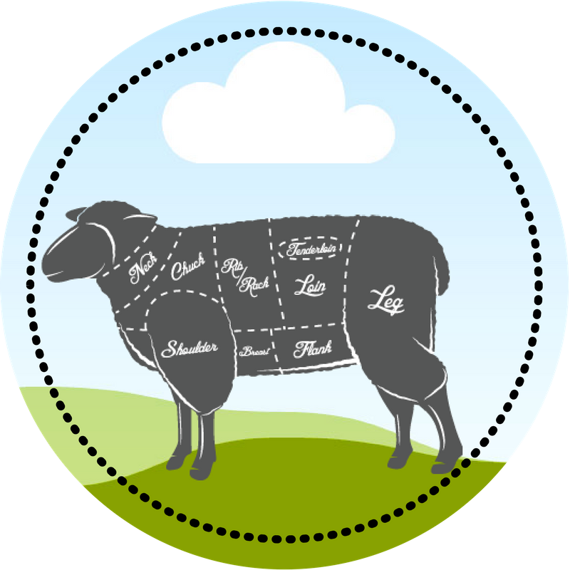 Lamb Circle Clipart (800x800), Png Download