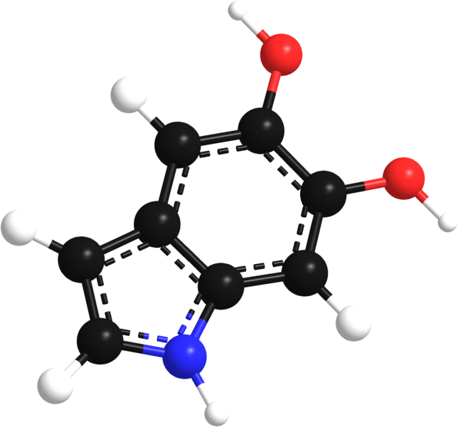 Dihydroxylindol 3d Model Bonds - Organic Chemistry Clipart (644x600), Png Download