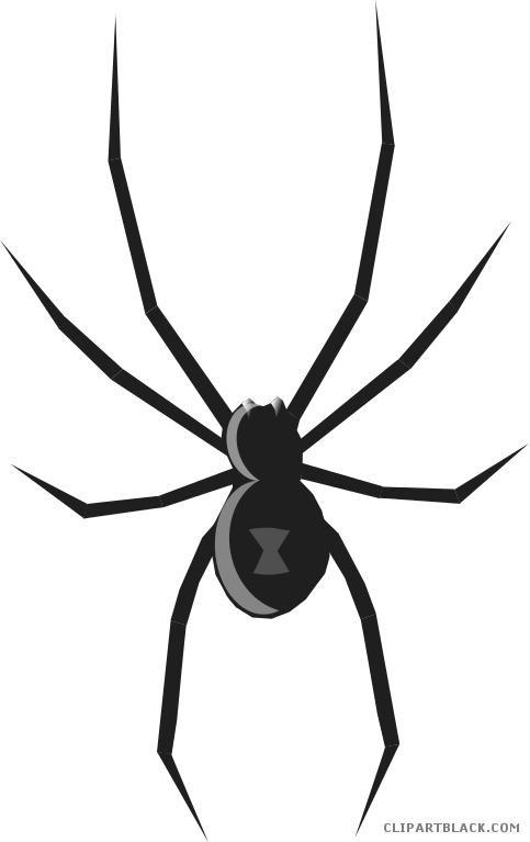 Spider Animal Free Black White Clipart Images Clipartblack - Black Widow Spider How To Draw - Png Download (483x767), Png Download